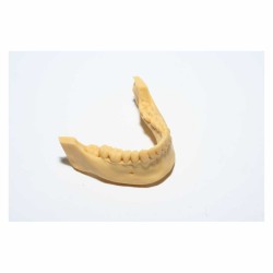resina dentifix modelling hr maschere modelli dentali corone ponti