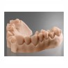 resina massima durezza stabilita forma resistenza abrasione prototipi modelli dentali
