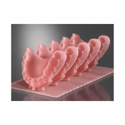 resina denture basi protesiche estraibili protesi totali biocompatibile dispositivo medico di classe IIa