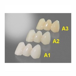 resina detax temp corone ponti dentali elevata resistenza a rottura lucidabile colori a1 a2 a3