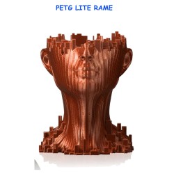 petg lite contenitori per alimenti design prototipi meccanici droni domotica robotica cosplay giocattoli